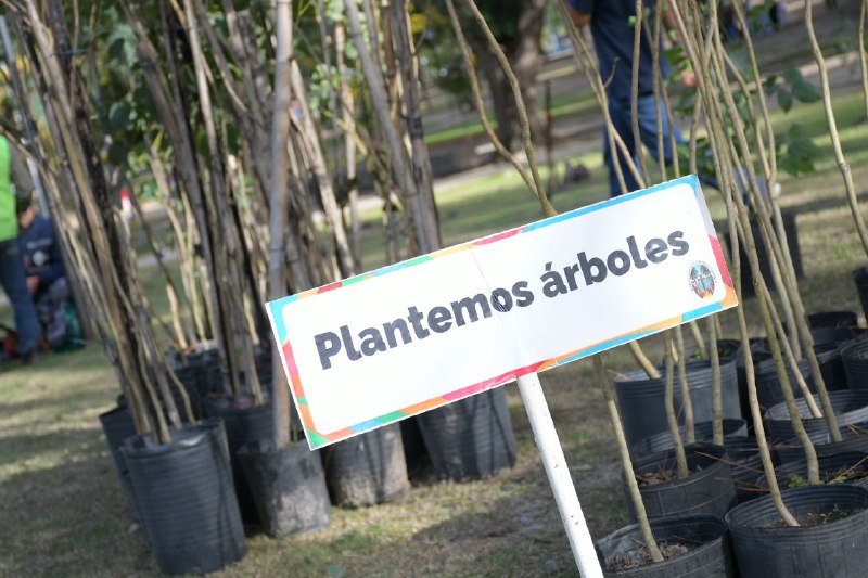 Plantaron árboles en el Parque Mitre y se regalaron ejemplares autóctonos a  los vecinos | Municipalidad de Corrientes