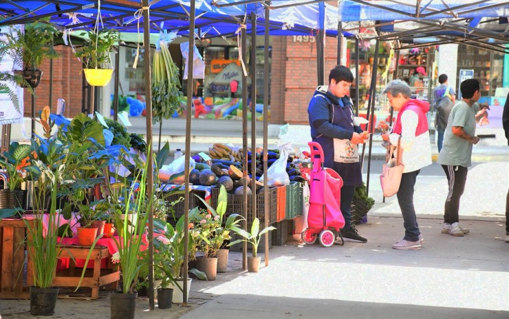 Con múltiples ofertas, las Ferias de la Ciudad recorren plazas y espacios públicos