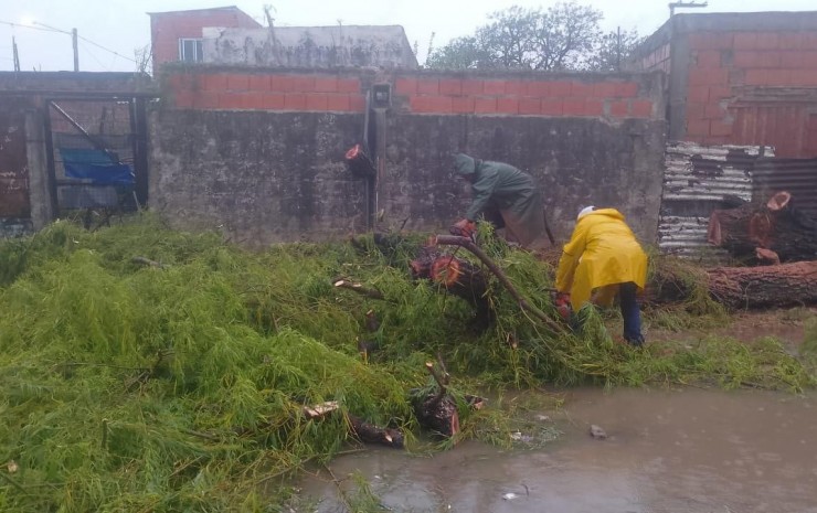 La Municipalidad trabaja para solucionar contratiempos generados por los fuertes vientos