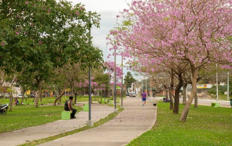 La Municipalidad de Corrientes lanzó el concurso de fotografía “La ciudad que queremos florece”
