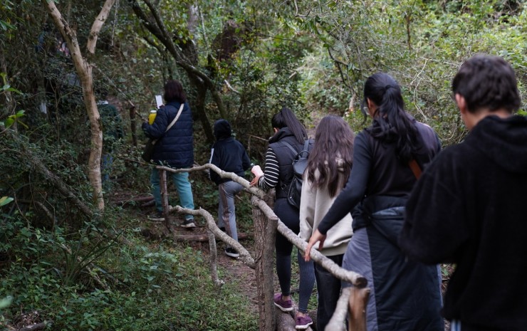 Voluntariado ambiental: plantarán árboles nativos en la Reserva Natural Santa Catalina