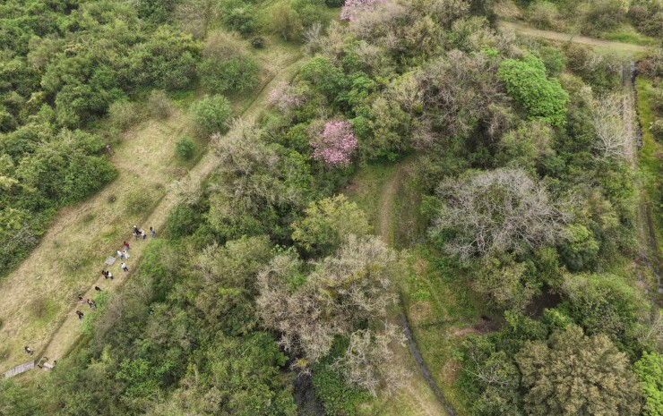 Con recorridas y jornada académica, el Municipio marcó la importancia del arbolado y el cuidado del ambiente