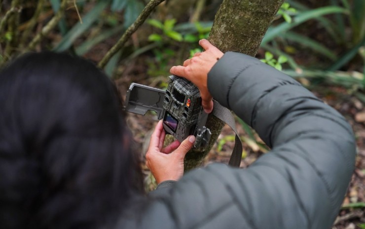 Suman cámaras para observar y monitorear la fauna de la Reserva Municipal Santa Catalina