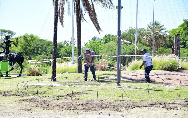 Corrientes se viste de Navidad con árboles gigantes, un pesebre y el “Árbol de los deseos”