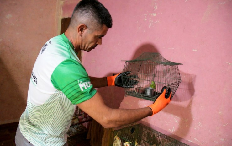 Tenencia ilegal y maltrato: en operativo municipal rescatan 24 aves silvestres y dos perros