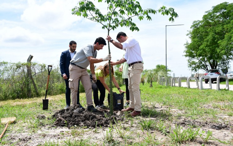  El Municipio y la UNNE fortalecen la investigación y planificación del arbolado en la ciudad