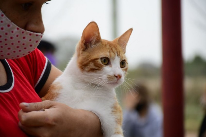 Maltrato Animal: la Municipalidad intensifica acciones articuladas con ONGs, la Policía y la Justicia | Municipalidad de Corrientes Maltrato Animal: la Municipalidad intensifica acciones articuladas con ONGs, la Policía y la Justicia | Municipalidad de Corrientes